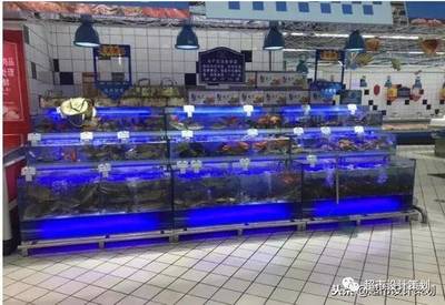 大潤發西部水產、干貨區陳列一組——水產品專業表現解析